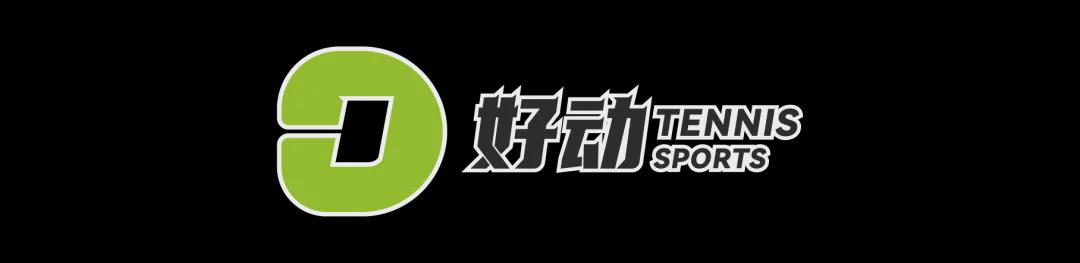 皮埃尔·萨热空降水晶宫:从法国杯荣耀到欧联杯新征途