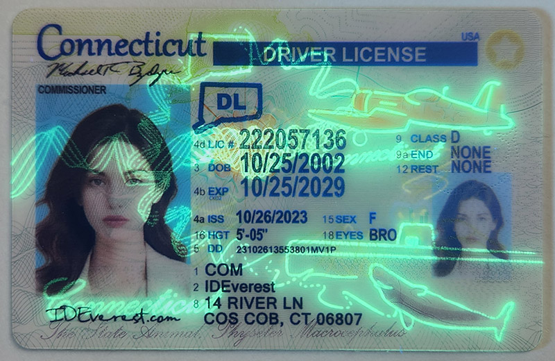 Fake ID In Connecticut